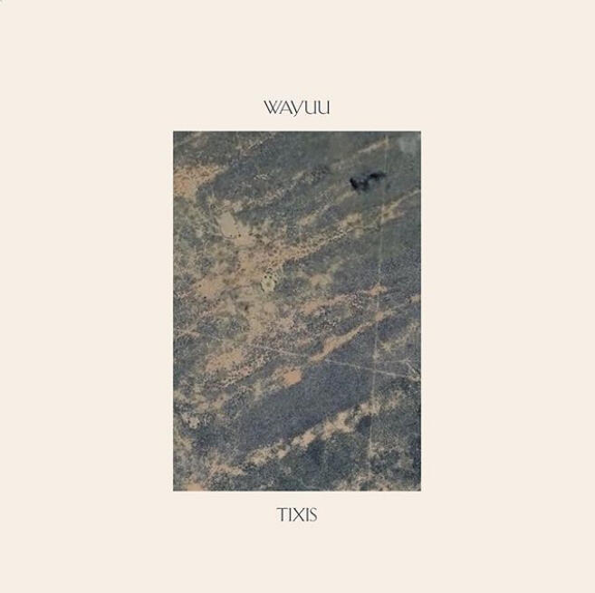 The artwork of the album 'Wayuu' by Tixis The artwork of the album 'Wayuu' by Tixis